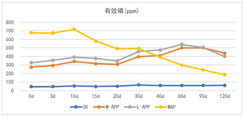 香港宝典免费资料网